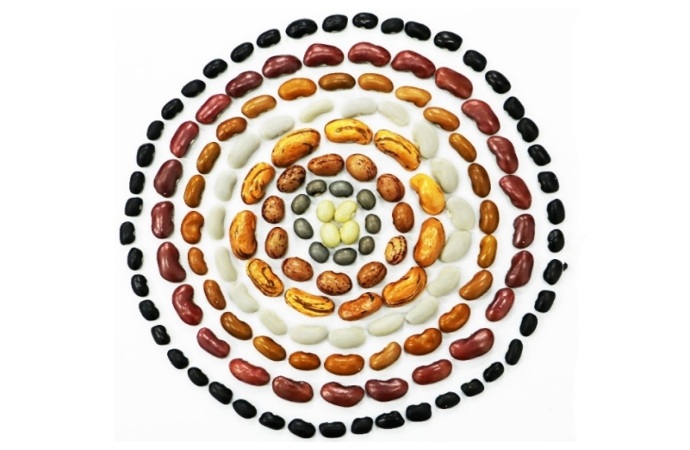 微信截图_20260123113603